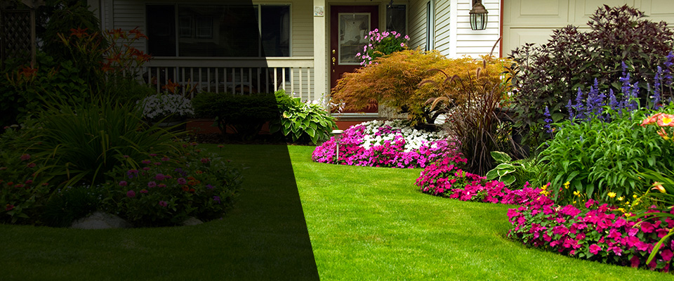 New Castle Landscapers